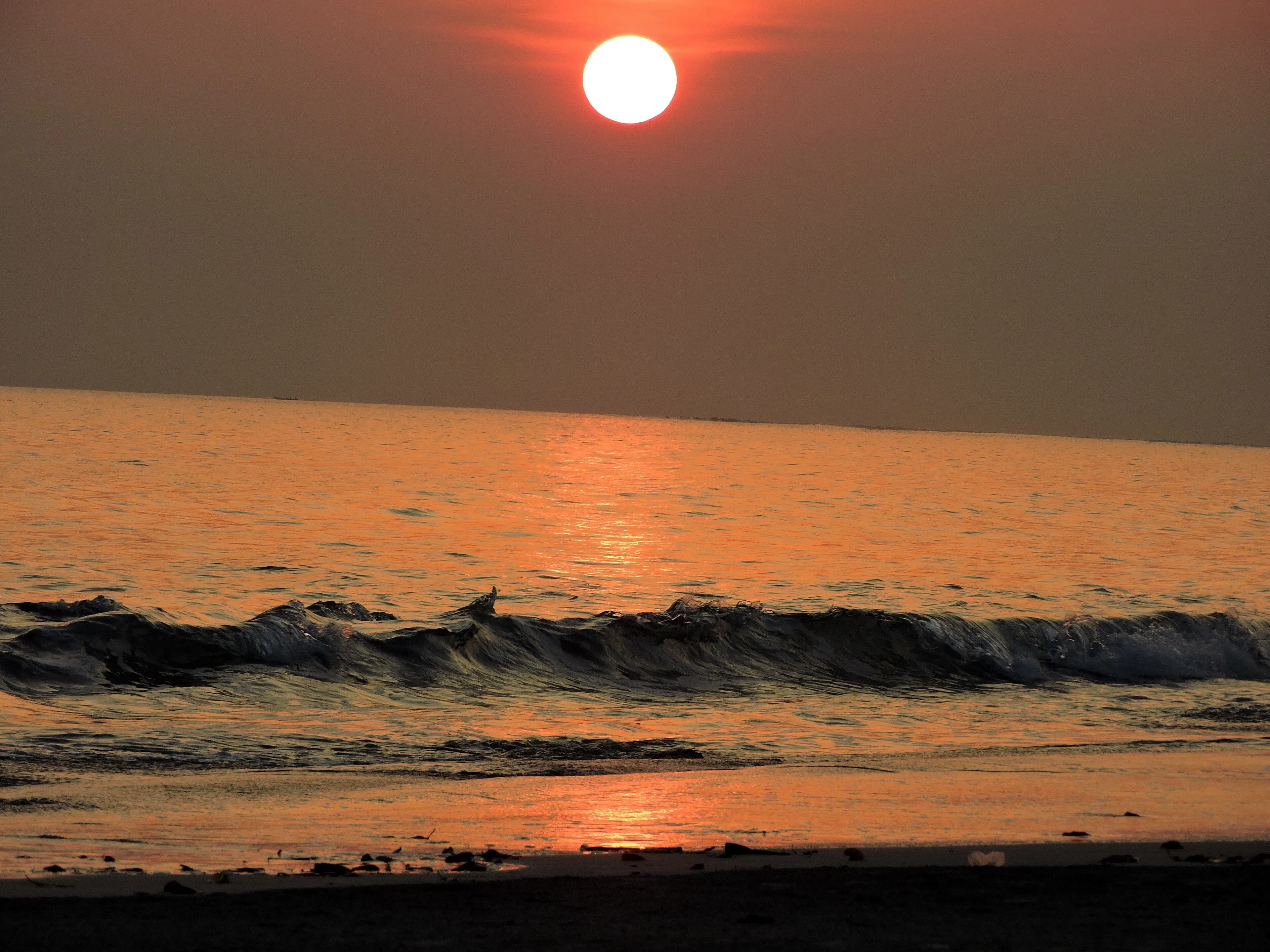 Andaman Coral Reefs & Coastal Havens