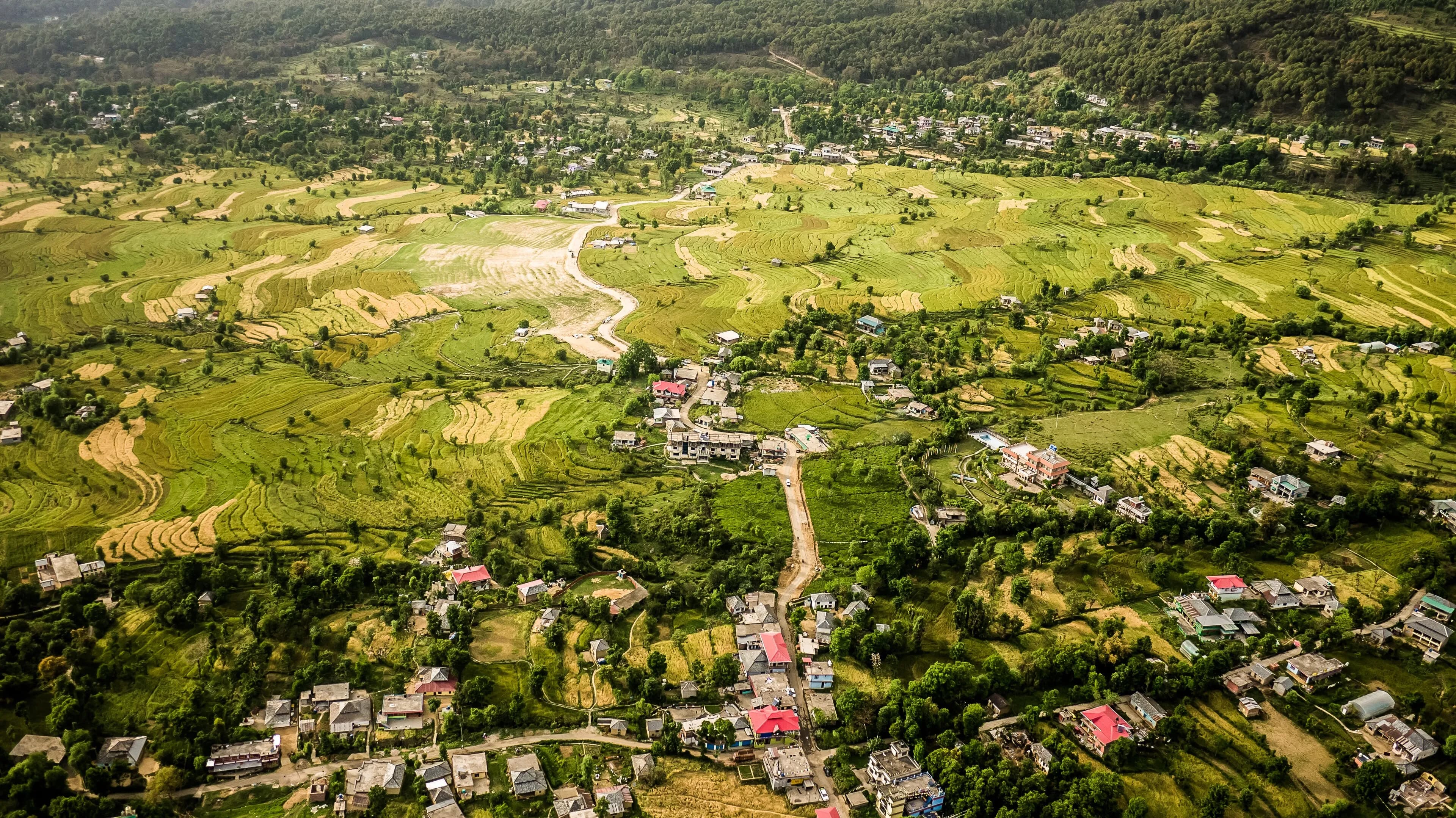Bir Billing Paragliding Flight & Pine Valley Camping