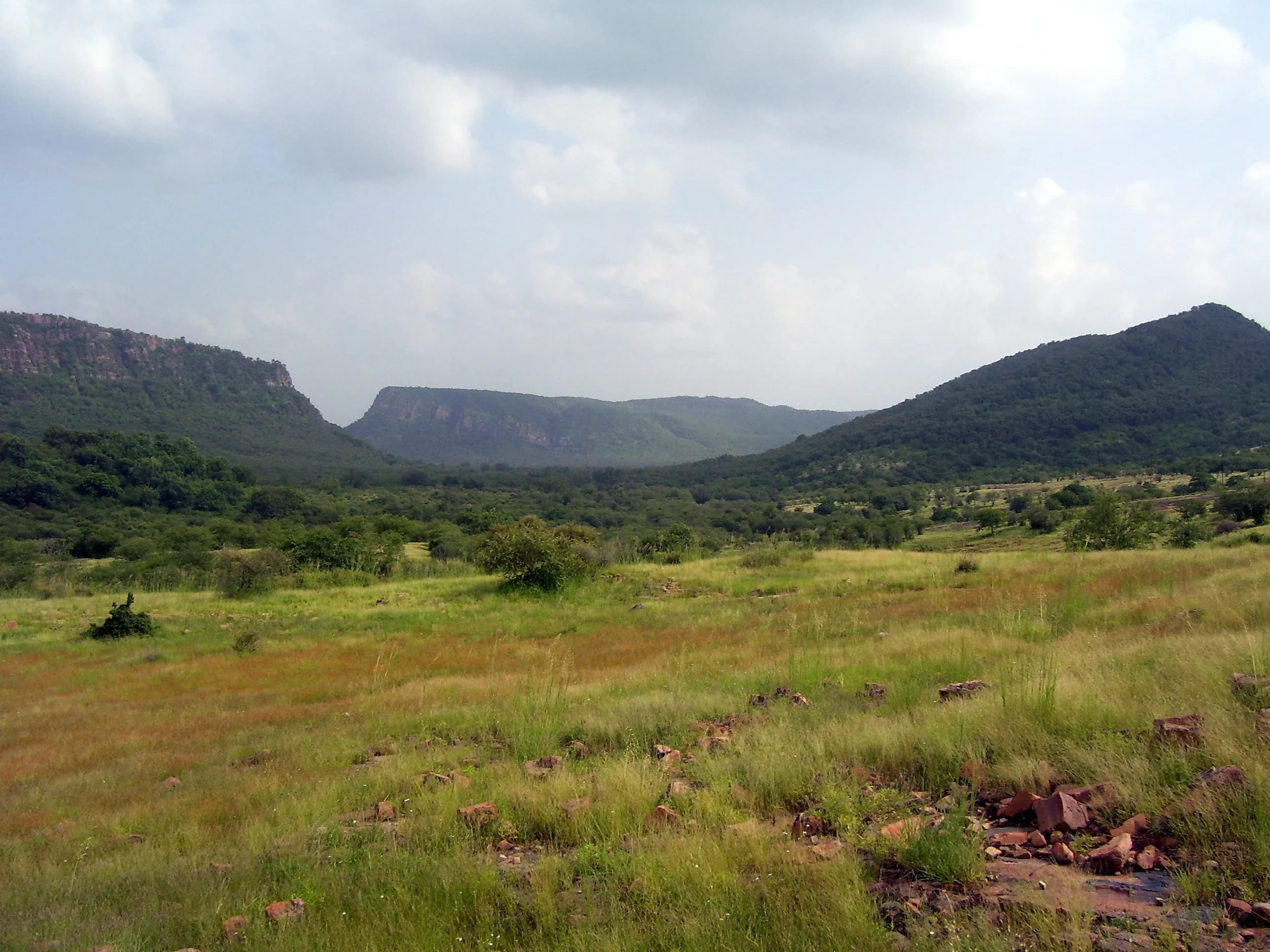 Golden Triangle with Ranthambore Tiger Safari