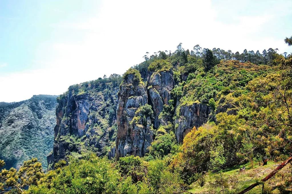 A Vacation to South India