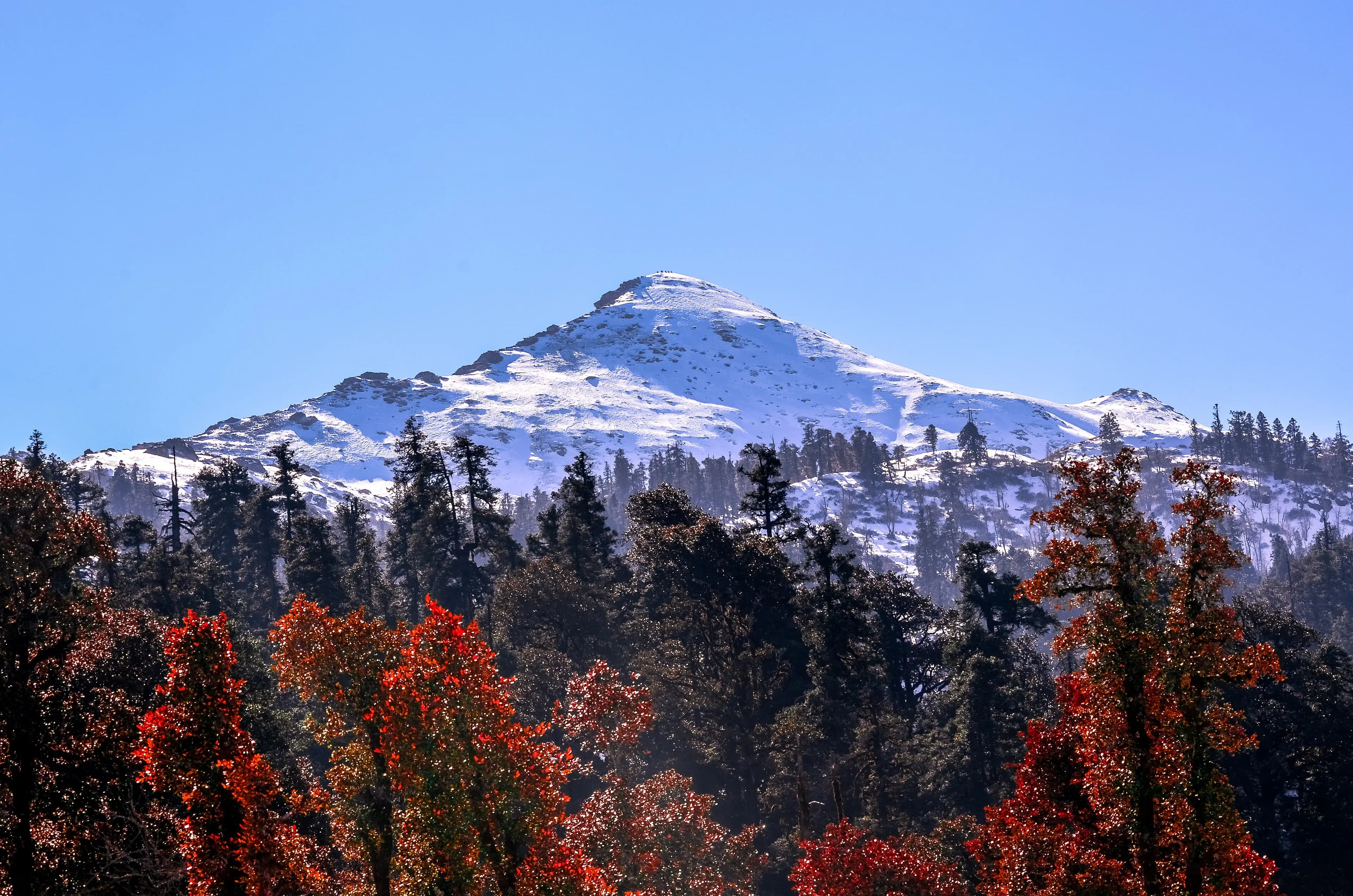 Kedarkantha Winter Snow Summit Trek